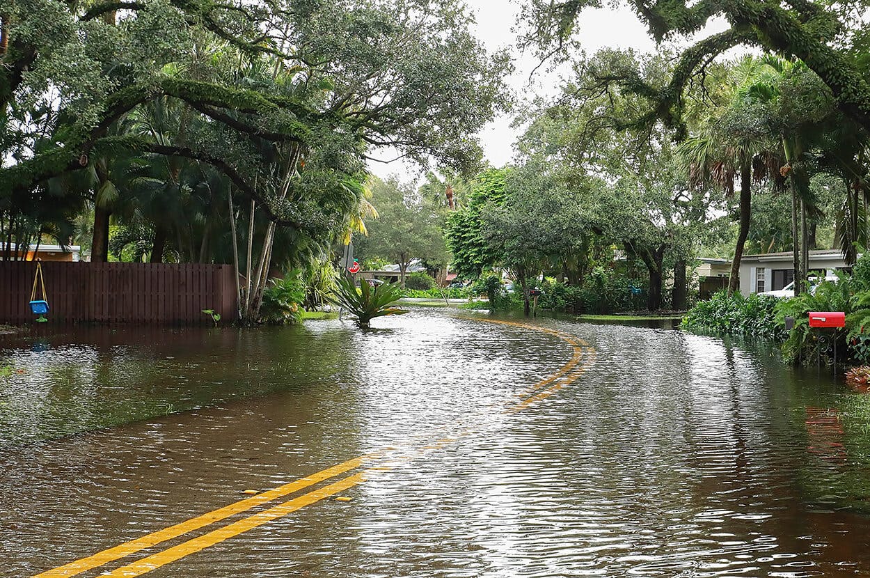 Lo que necesita saber sobre el seguro contra inundaciones en Florida